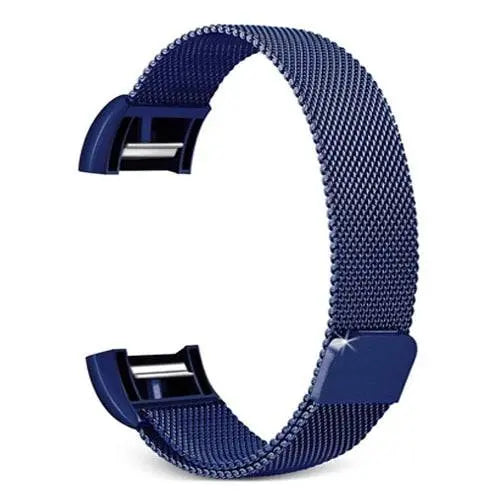 Fitbit Charge 2 Prestige Stainless Steel Mesh Loop Band - Pinnacle Luxuries