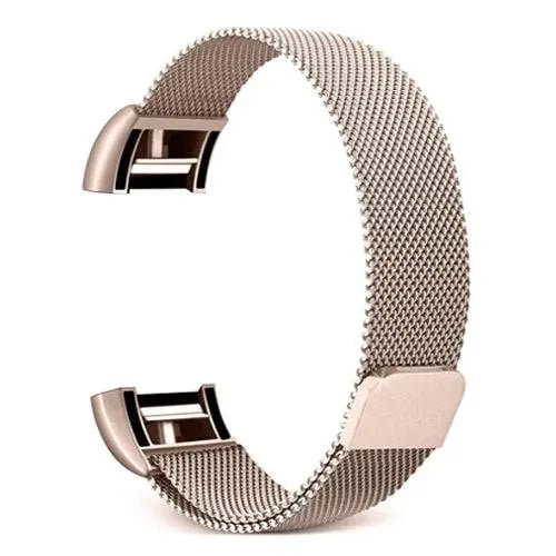 Fitbit Charge 2 Prestige Stainless Steel Mesh Loop Band - Pinnacle Luxuries